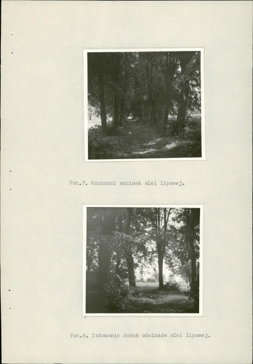 Ewidencja parkowa, skan nr 26