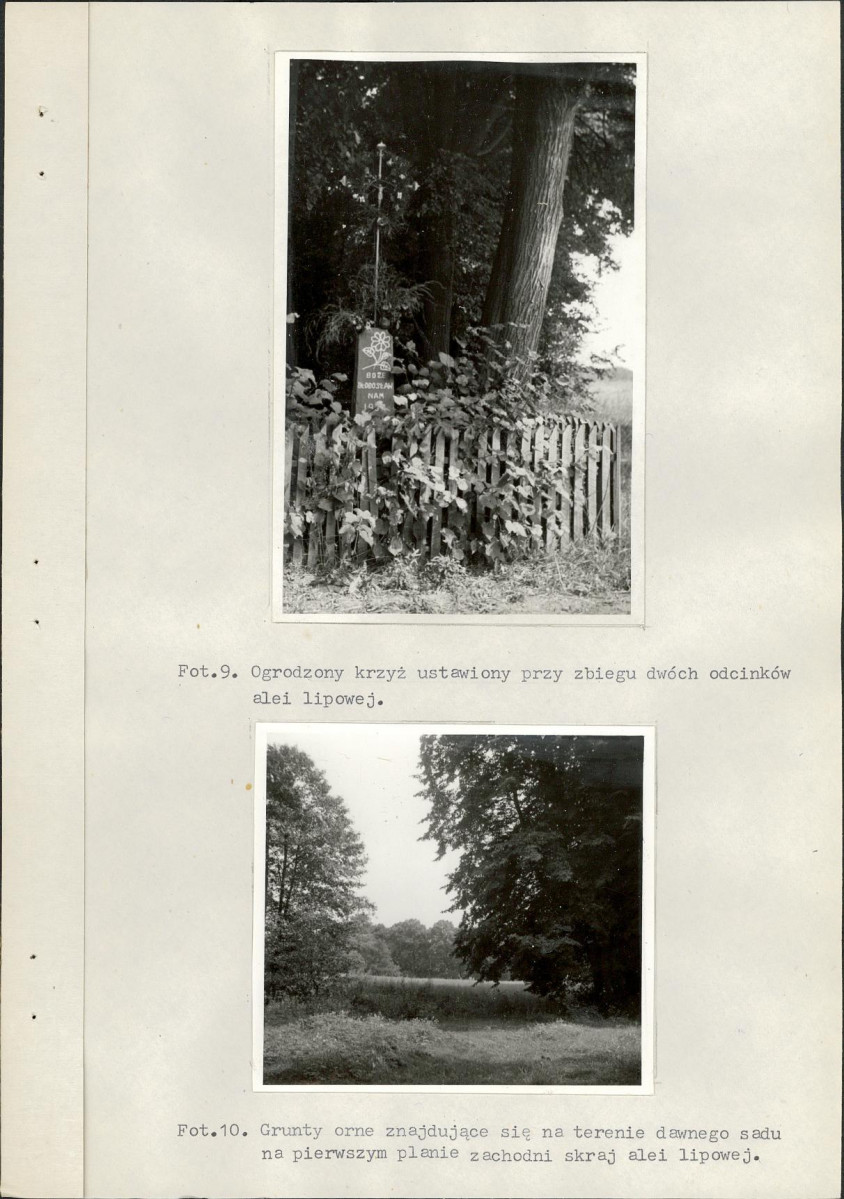 Ewidencja parkowa, skan nr 27