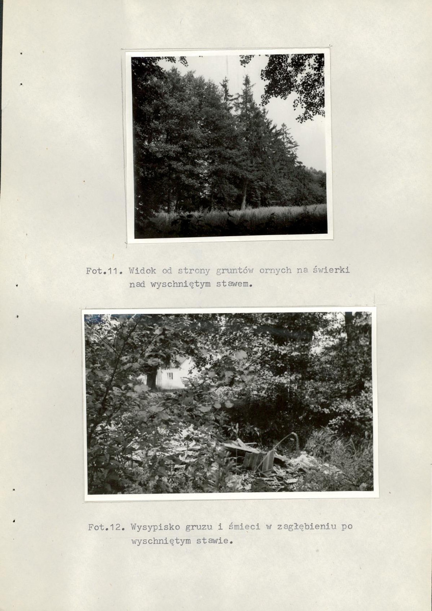 Ewidencja parkowa, skan nr 28