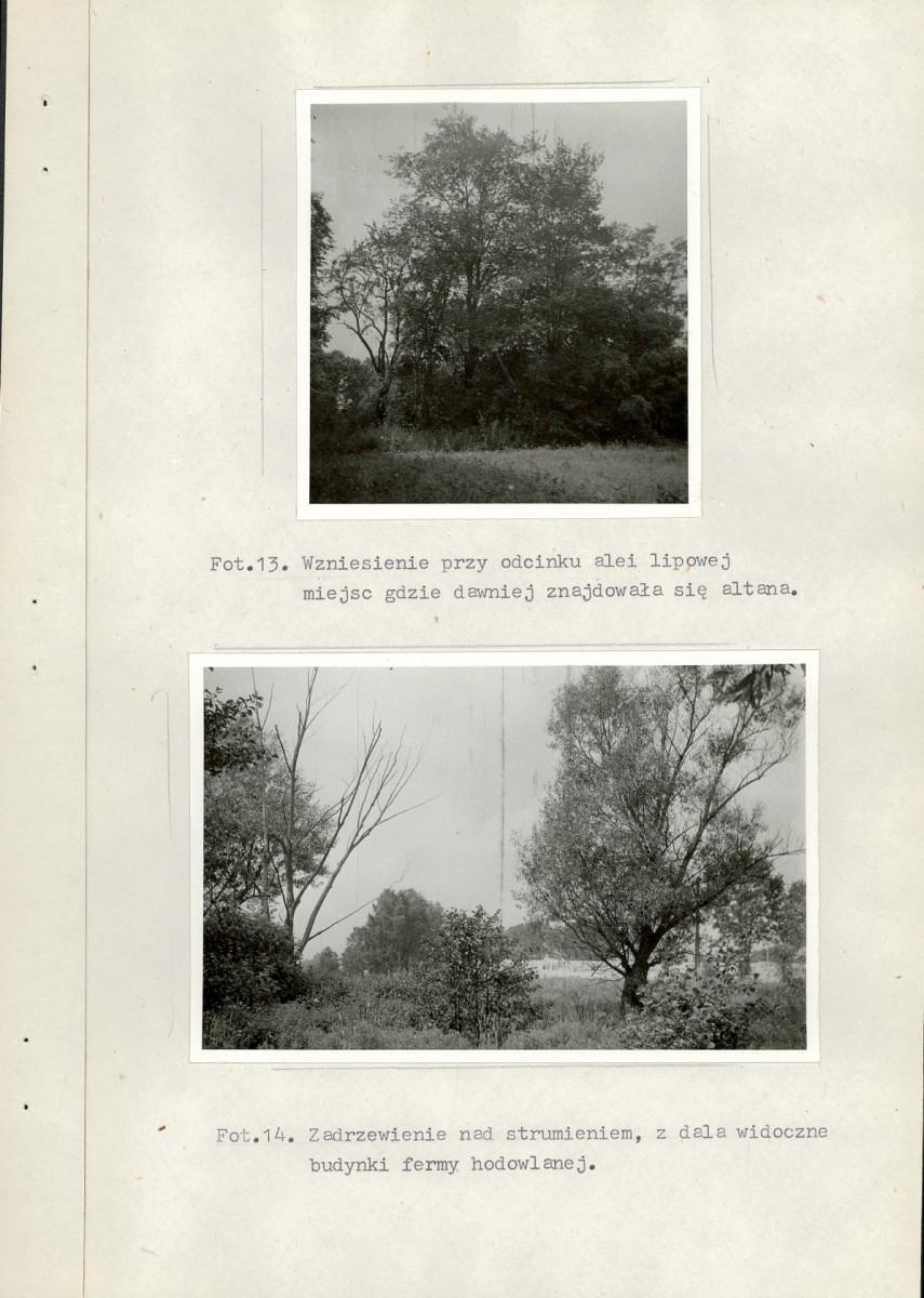 Ewidencja parkowa, skan nr 29