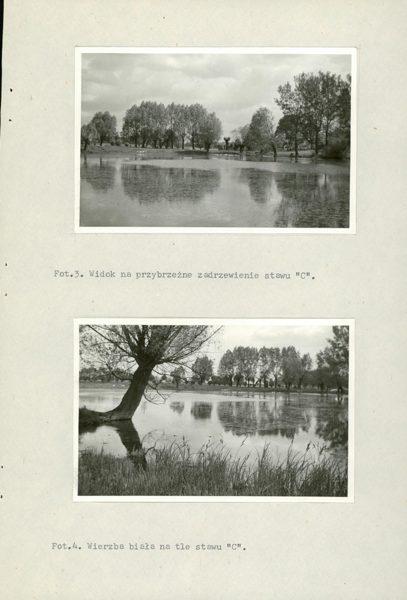 Ewidencja parkowa, skan nr 20