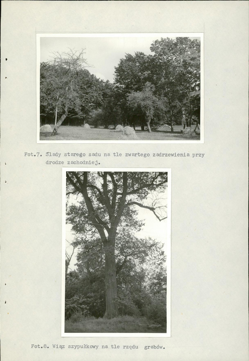 Ewidencja parkowa, skan nr 22