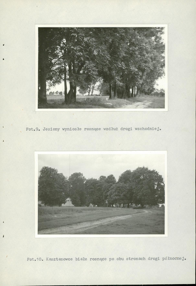 Ewidencja parkowa, skan nr 23