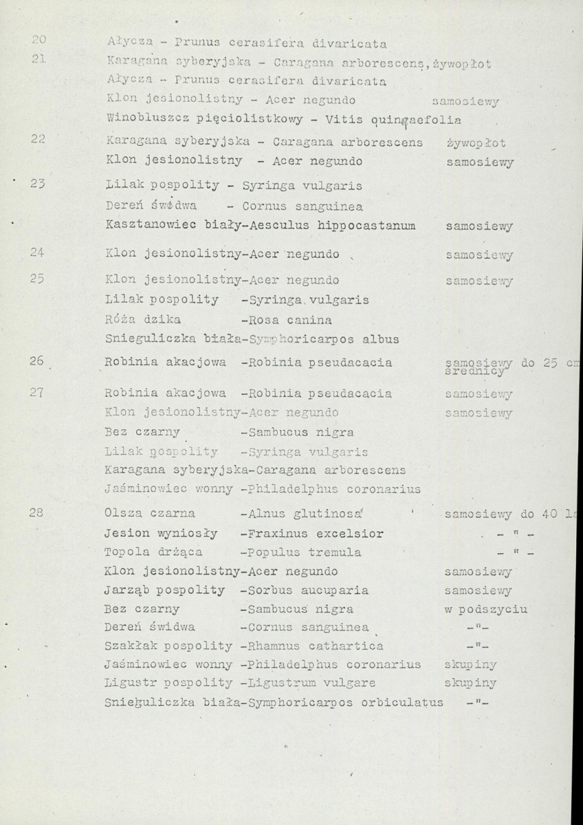 Ewidencja parkowa, skan nr 16