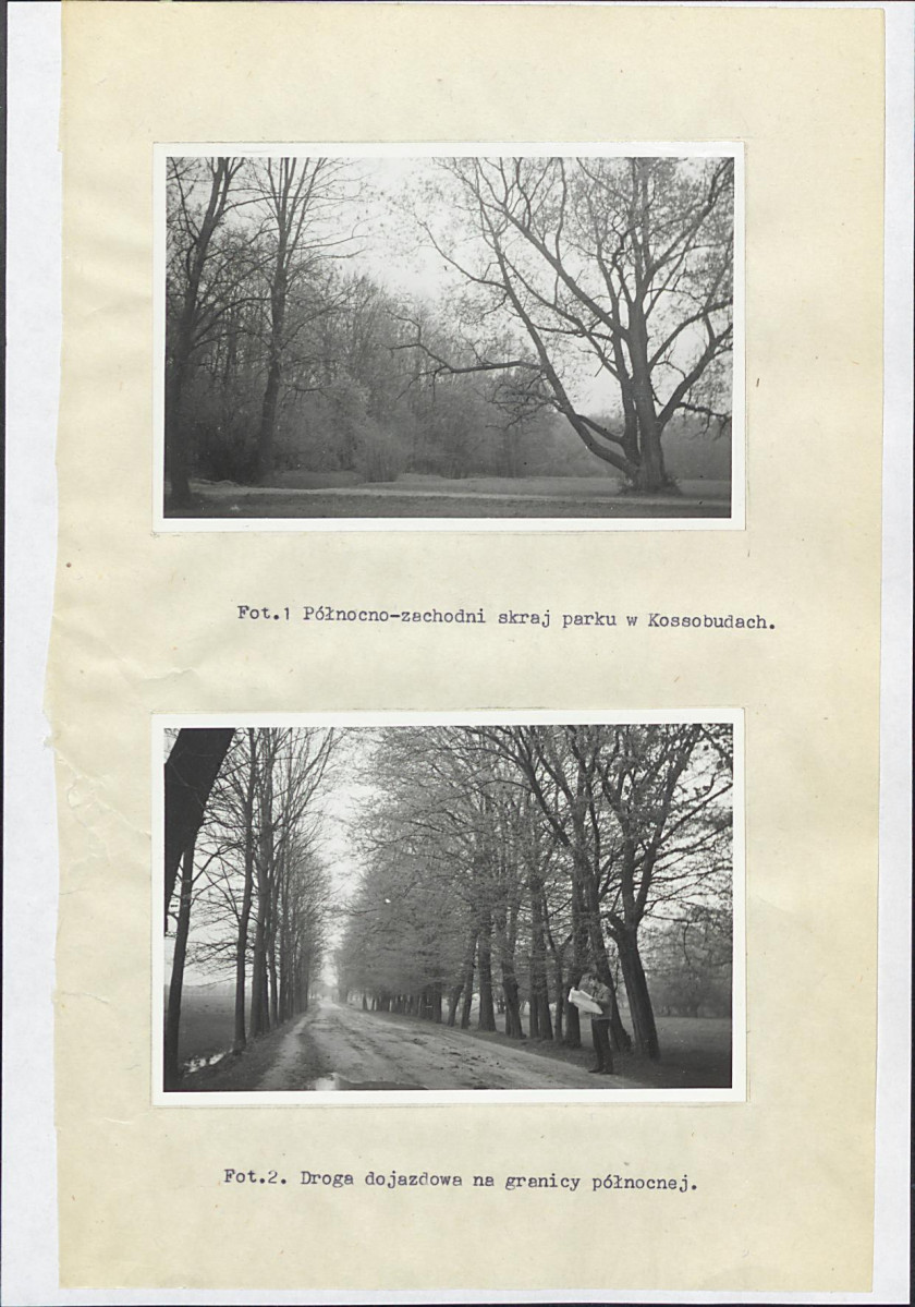 Ewidencja parkowa, skan nr 30