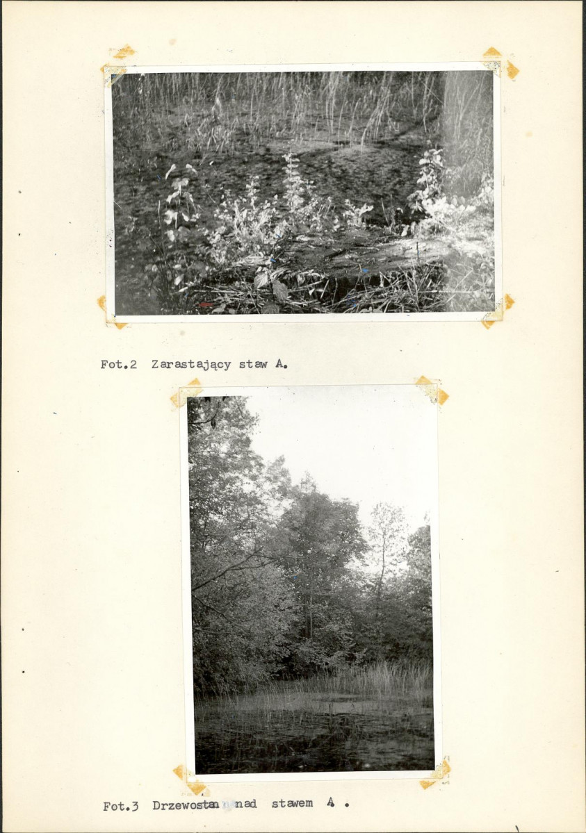 Ewidencja parkowa, skan nr 22