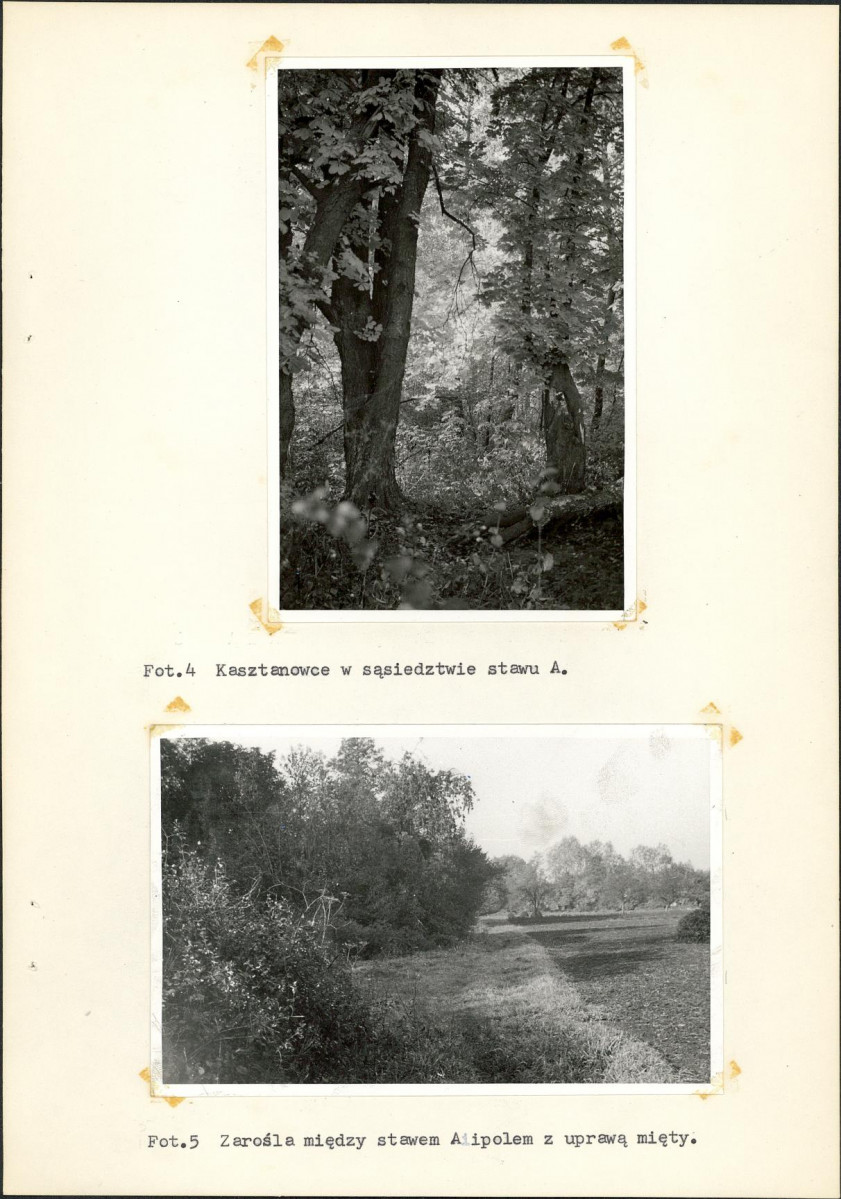 Ewidencja parkowa, skan nr 23