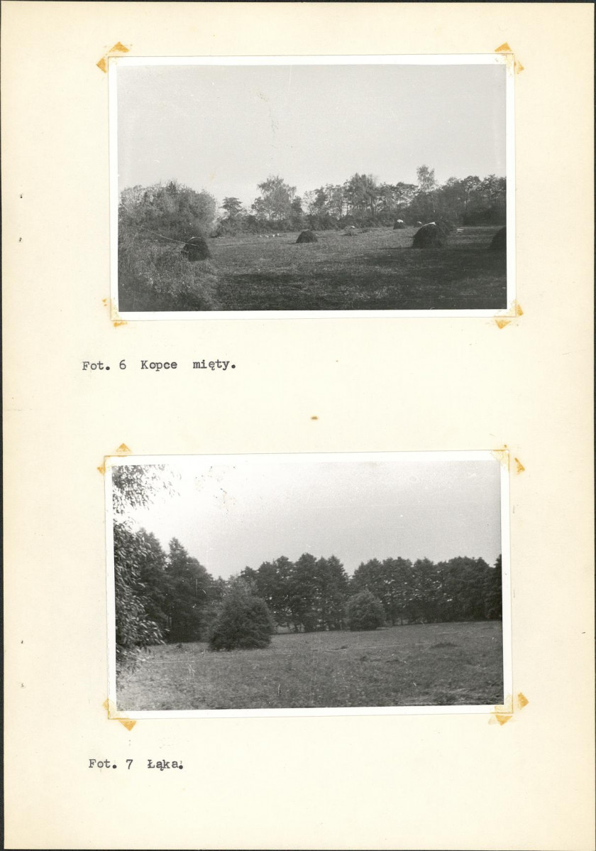 Ewidencja parkowa, skan nr 24