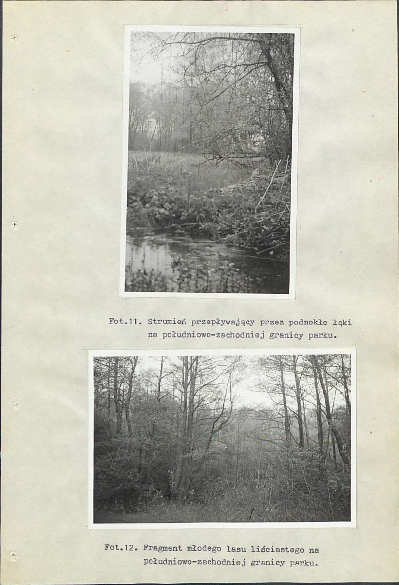 Ewidencja parkowa, skan nr 35