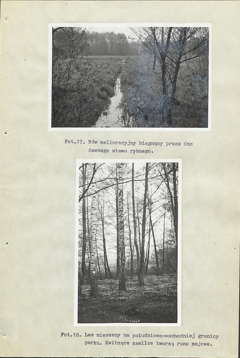 Ewidencja parkowa, skan nr 38