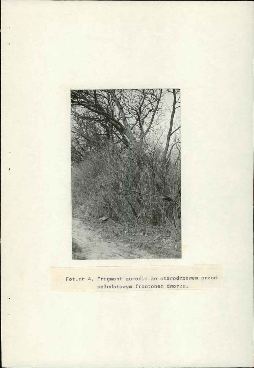 Ewidencja parkowa, skan nr 20