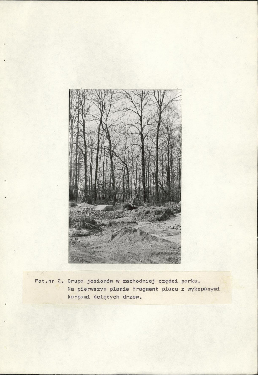 Ewidencja parkowa, skan nr 17