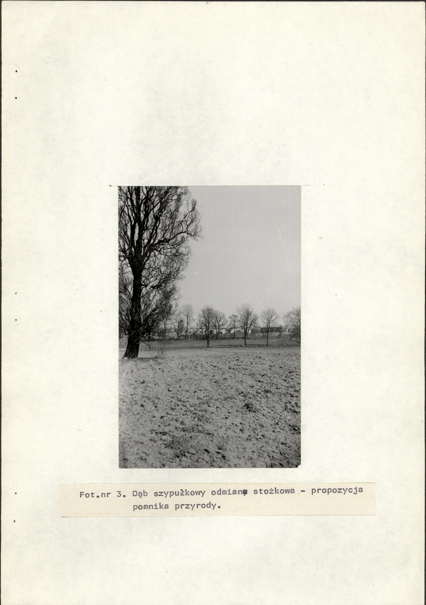 Ewidencja parkowa, skan nr 18