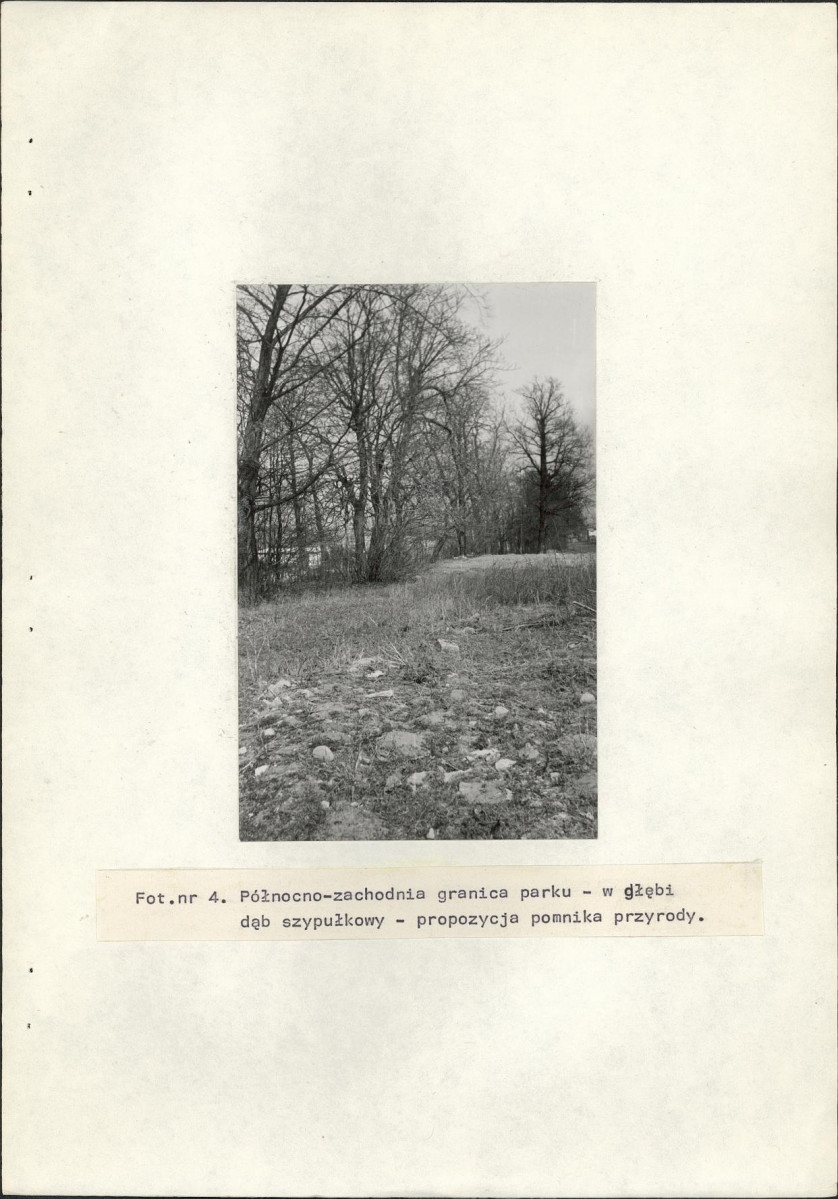 Ewidencja parkowa, skan nr 19