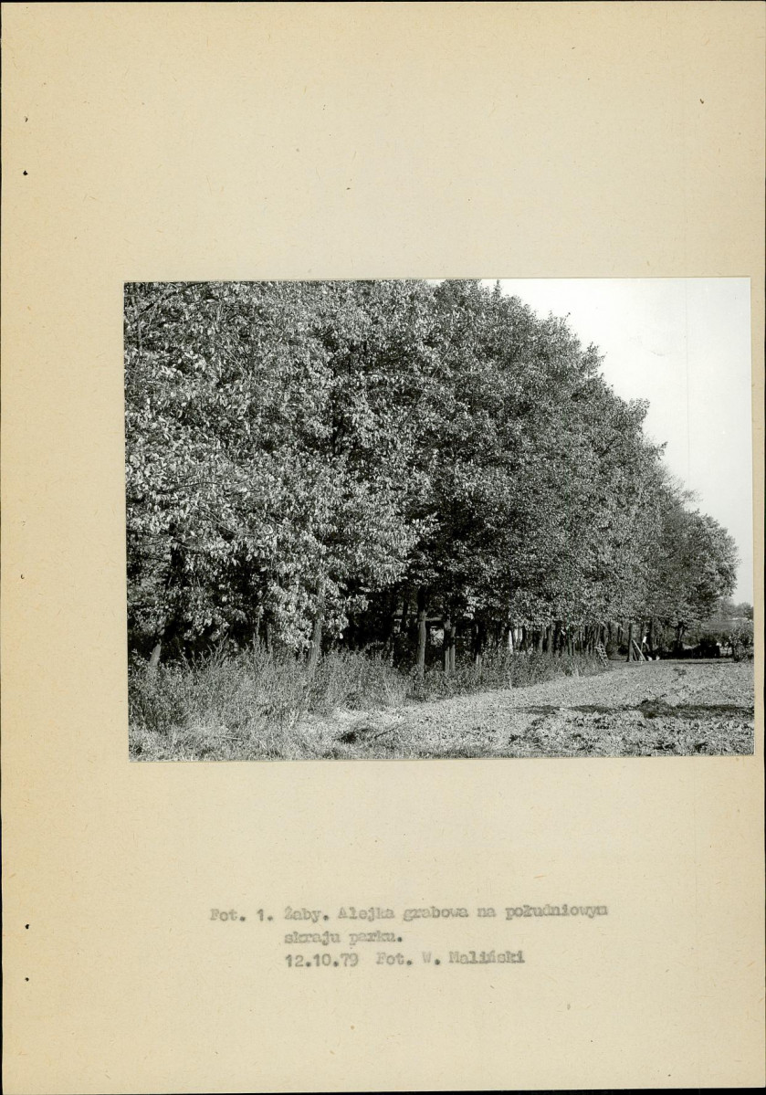 EP - Ewidencja parkowa, skan nr 10