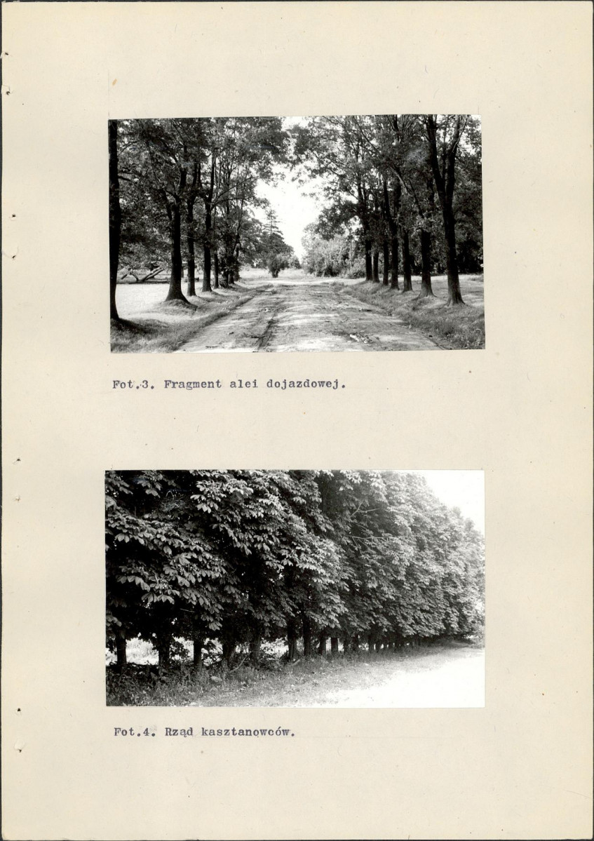 EP - Ewidencja parkowa, skan nr 44