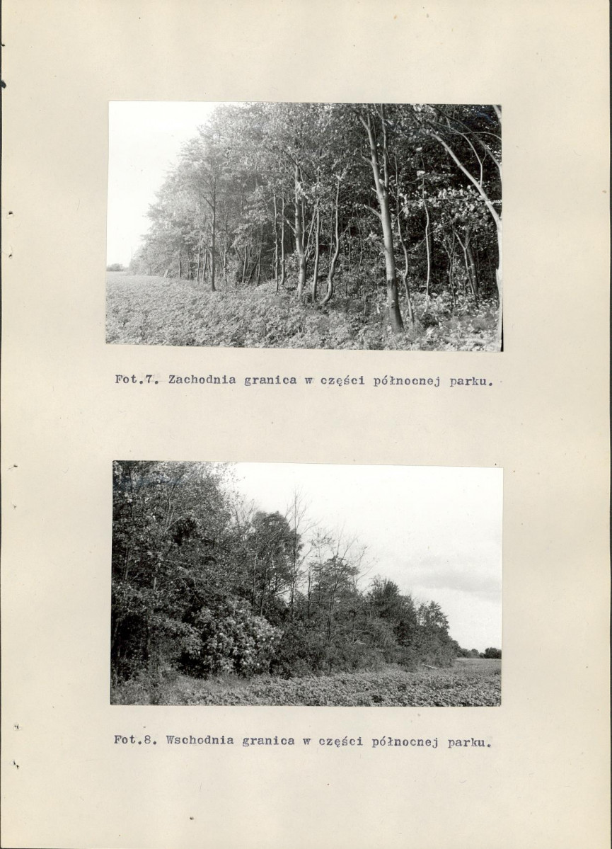 EP - Ewidencja parkowa, skan nr 46