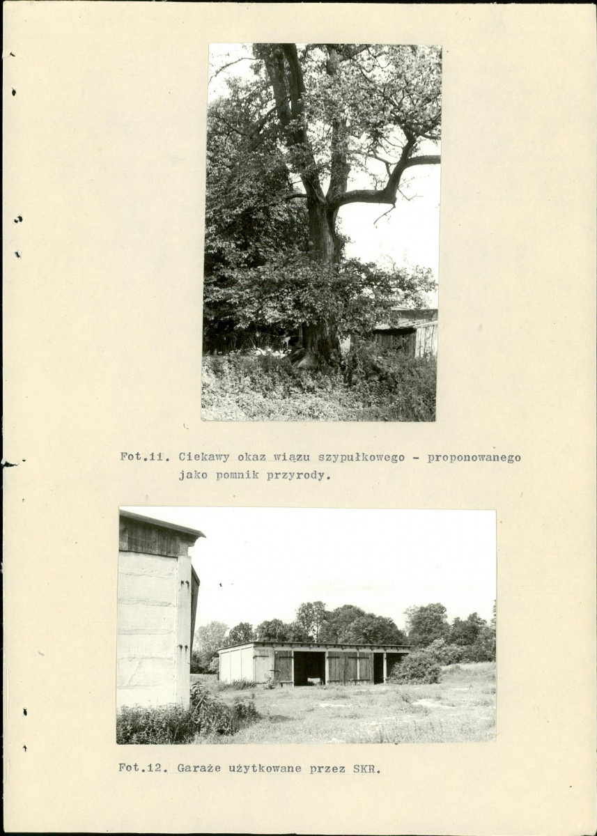 EP - Ewidencja parkowa, skan nr 48