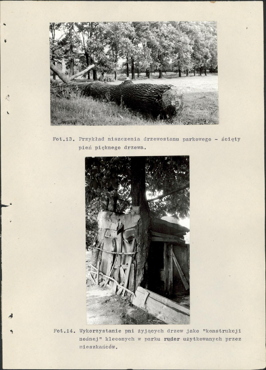 EP - Ewidencja parkowa, skan nr 49