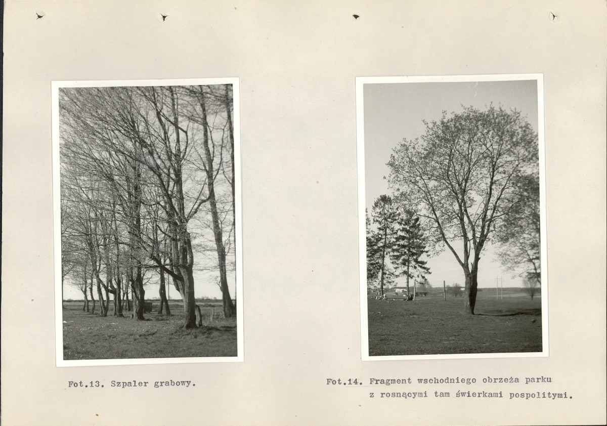 EP - Ewidencja parkowa, skan nr 36