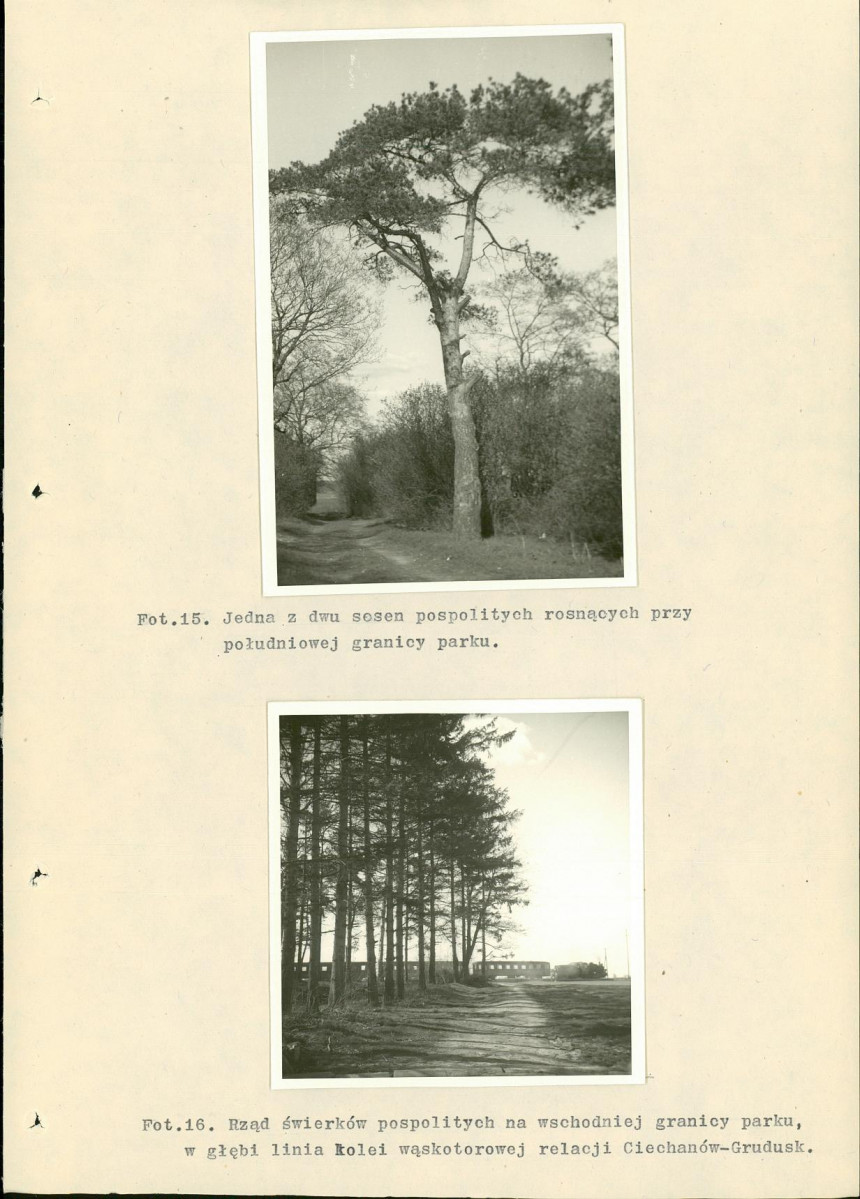 EP - Ewidencja parkowa, skan nr 37