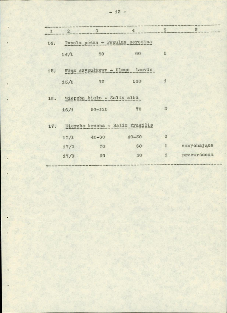 EP - Ewidencja parkowa, skan nr 19