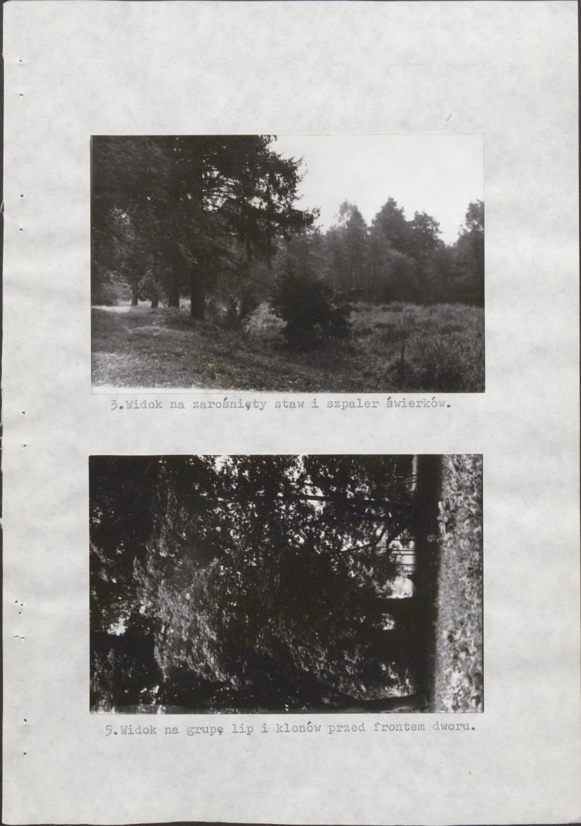 Ewidencja parkowa, skan nr 27