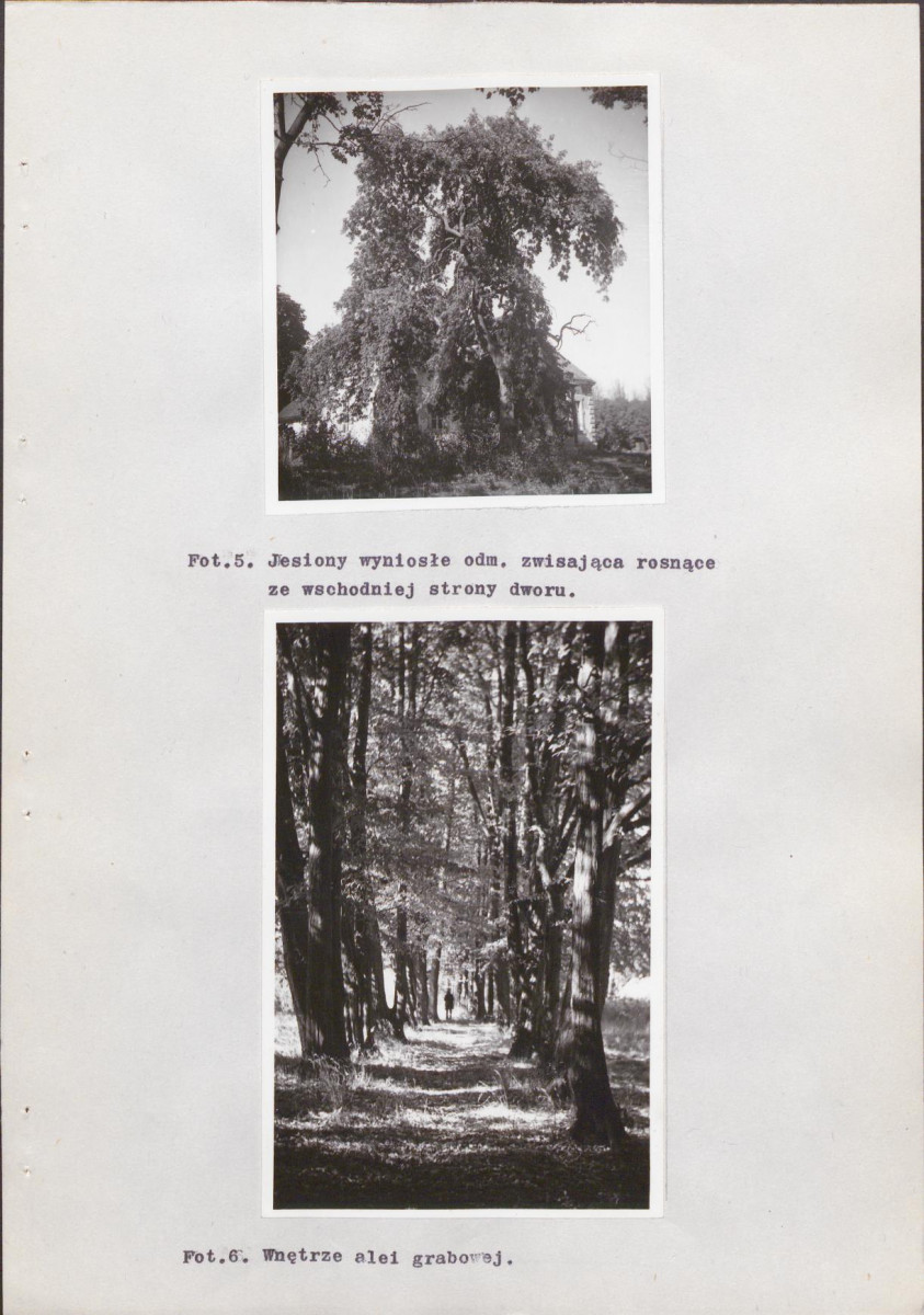 EP - Ewidencja parkowa, skan nr 30