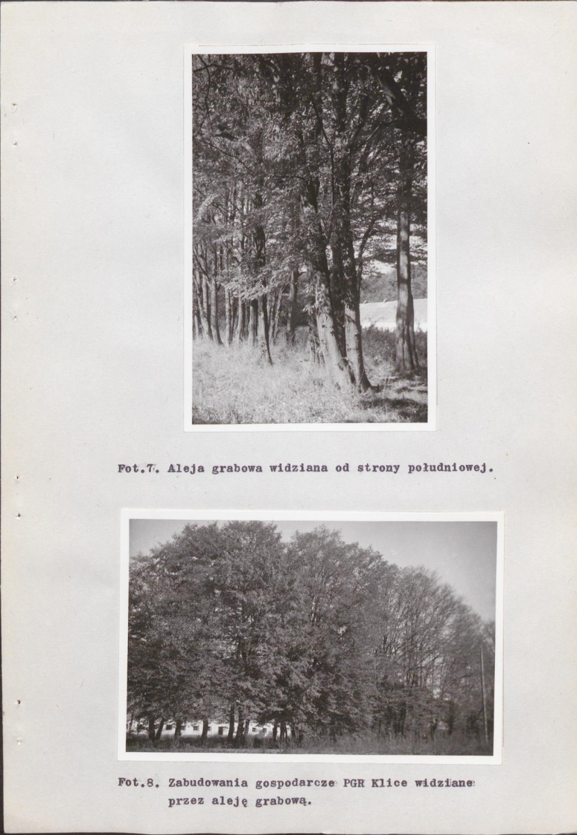 EP - Ewidencja parkowa, skan nr 31