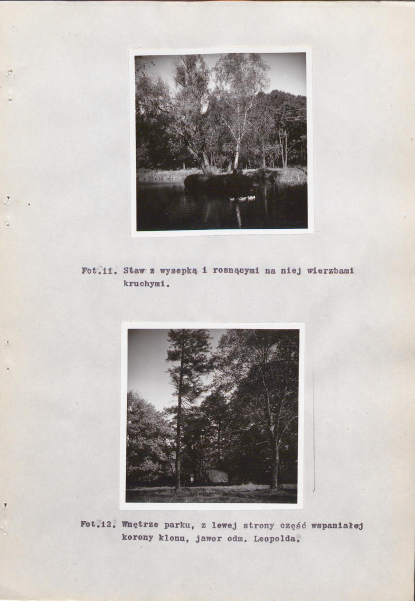 EP - Ewidencja parkowa, skan nr 33