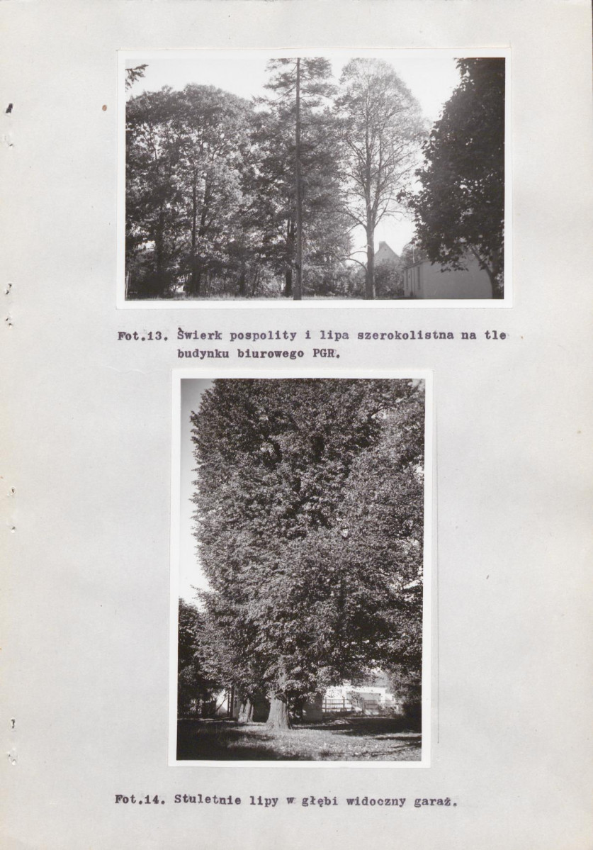 EP - Ewidencja parkowa, skan nr 34