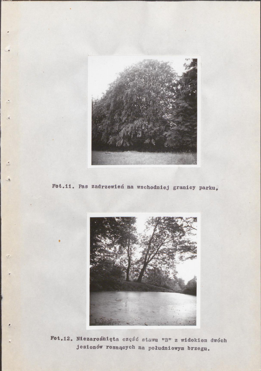 EP - Ewidencja parkowa, skan nr 36