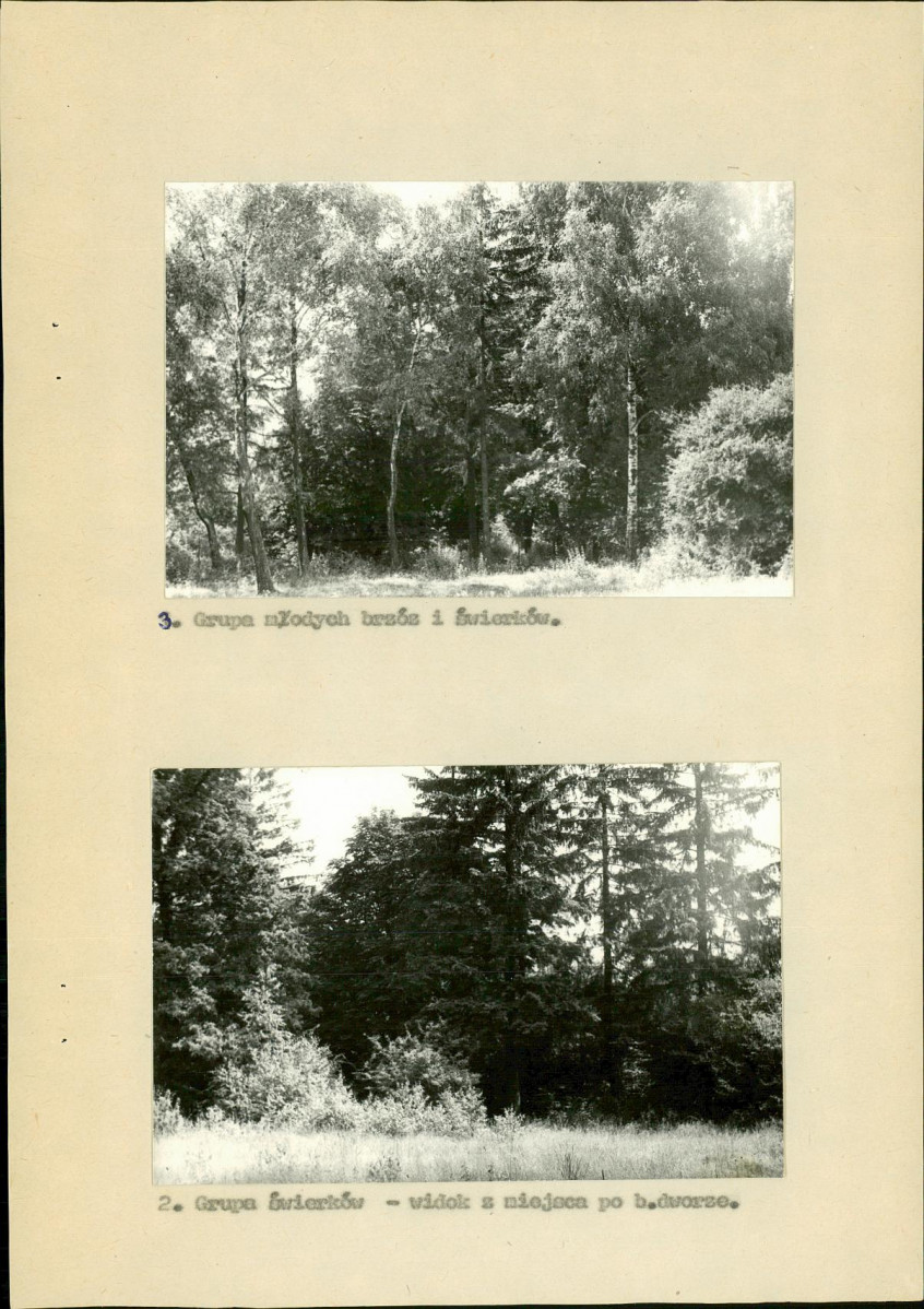 Ewidencja parkowa, skan nr 22