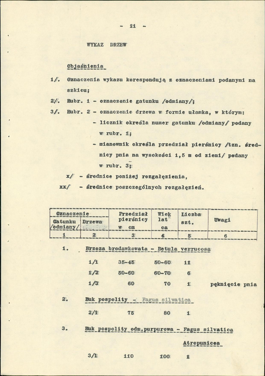Ewidencja parkowa, skan nr 18