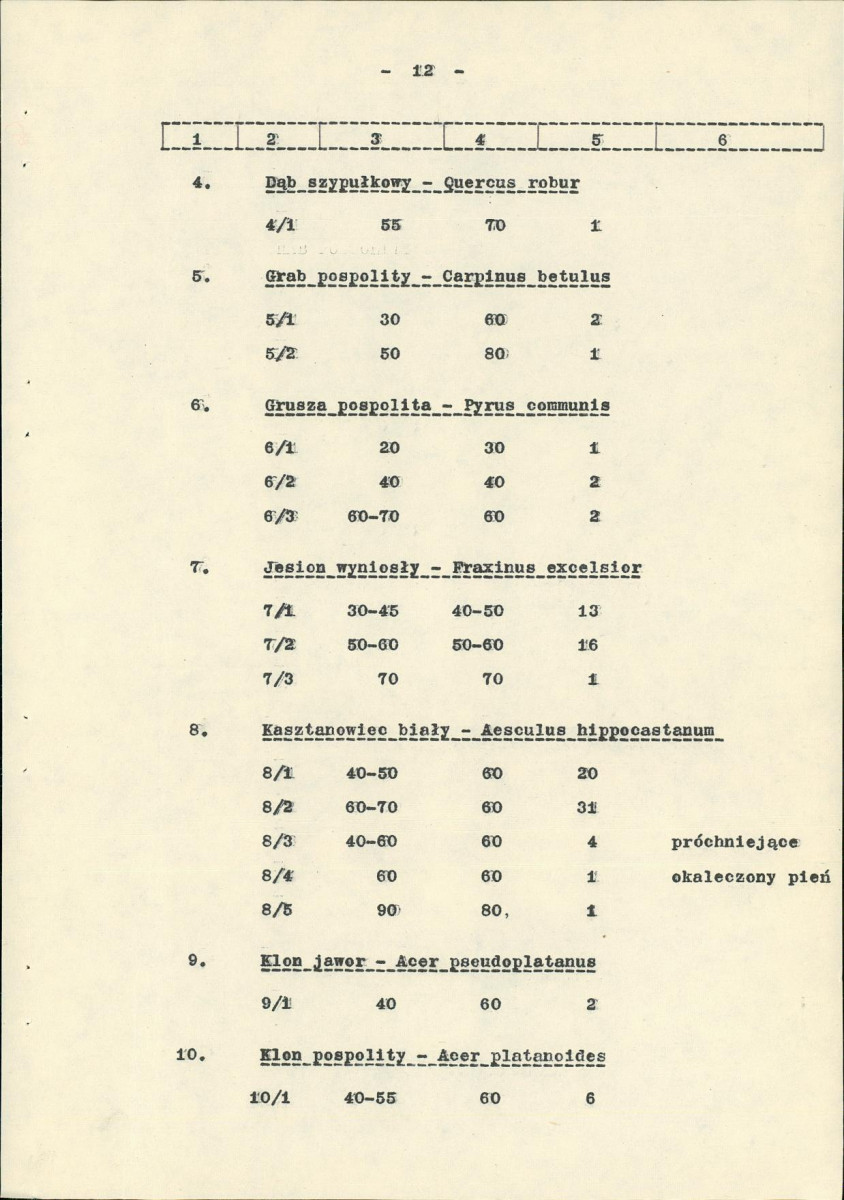 Ewidencja parkowa, skan nr 19