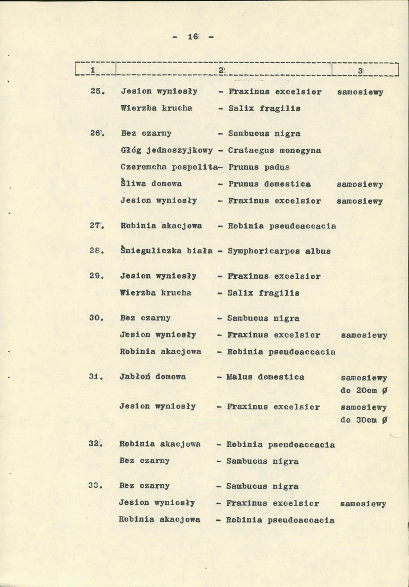 Ewidencja parkowa, skan nr 23