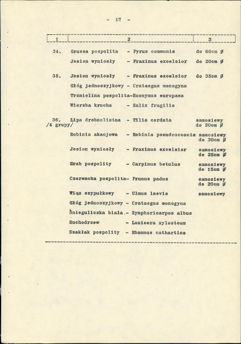 Ewidencja parkowa, skan nr 24