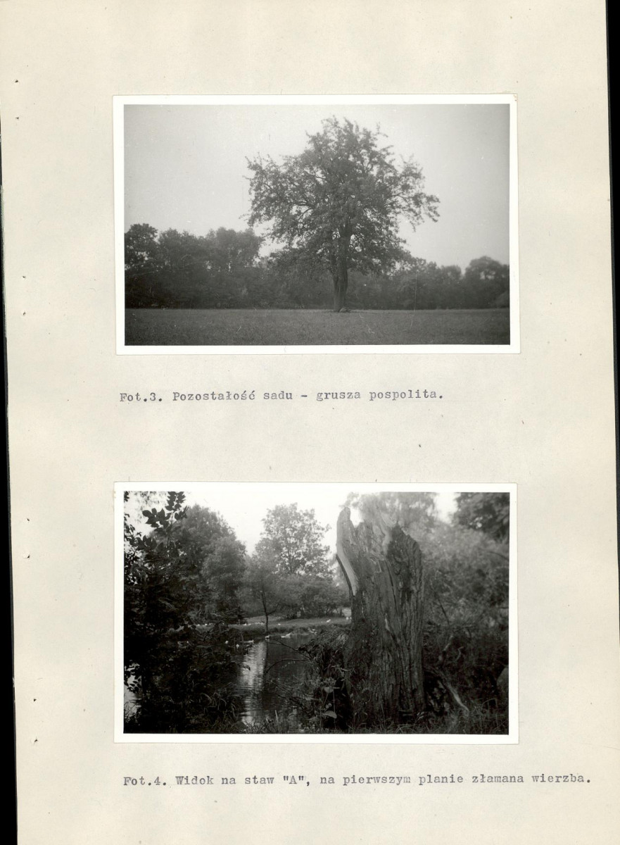 Ewidencja parkowa, skan nr 32