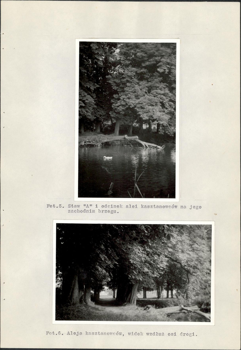 Ewidencja parkowa, skan nr 33