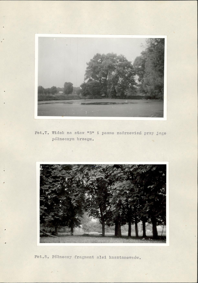 Ewidencja parkowa, skan nr 34