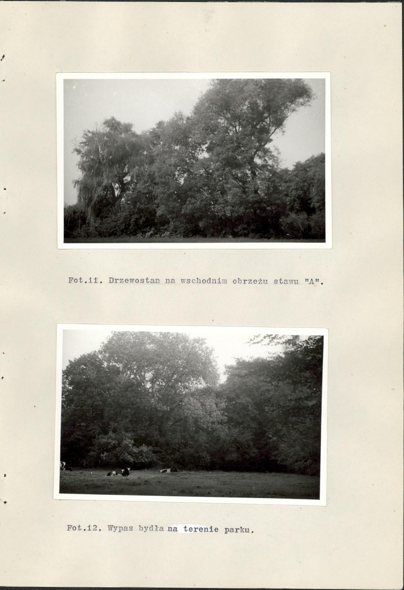 Ewidencja parkowa, skan nr 36