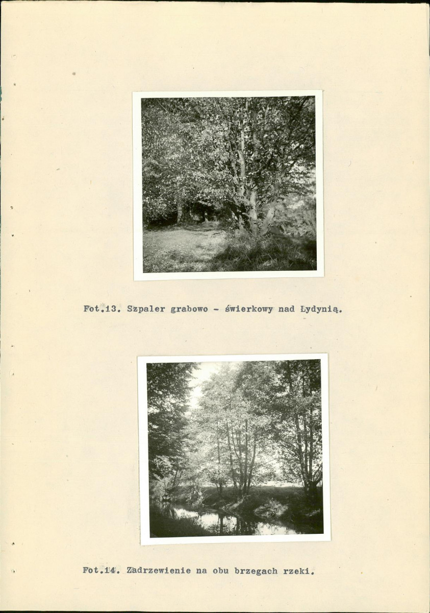 EP - Ewidencja parkowa, skan nr 37