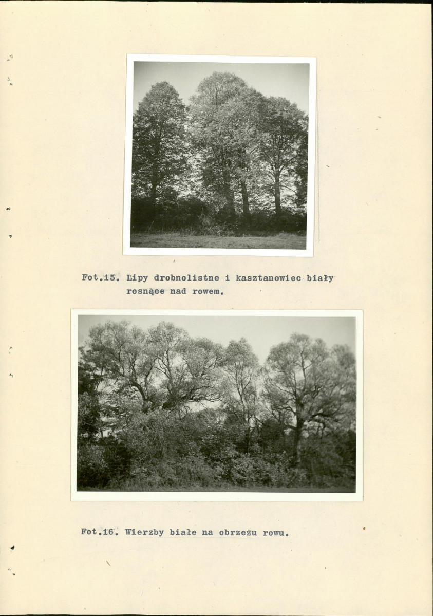 EP - Ewidencja parkowa, skan nr 38