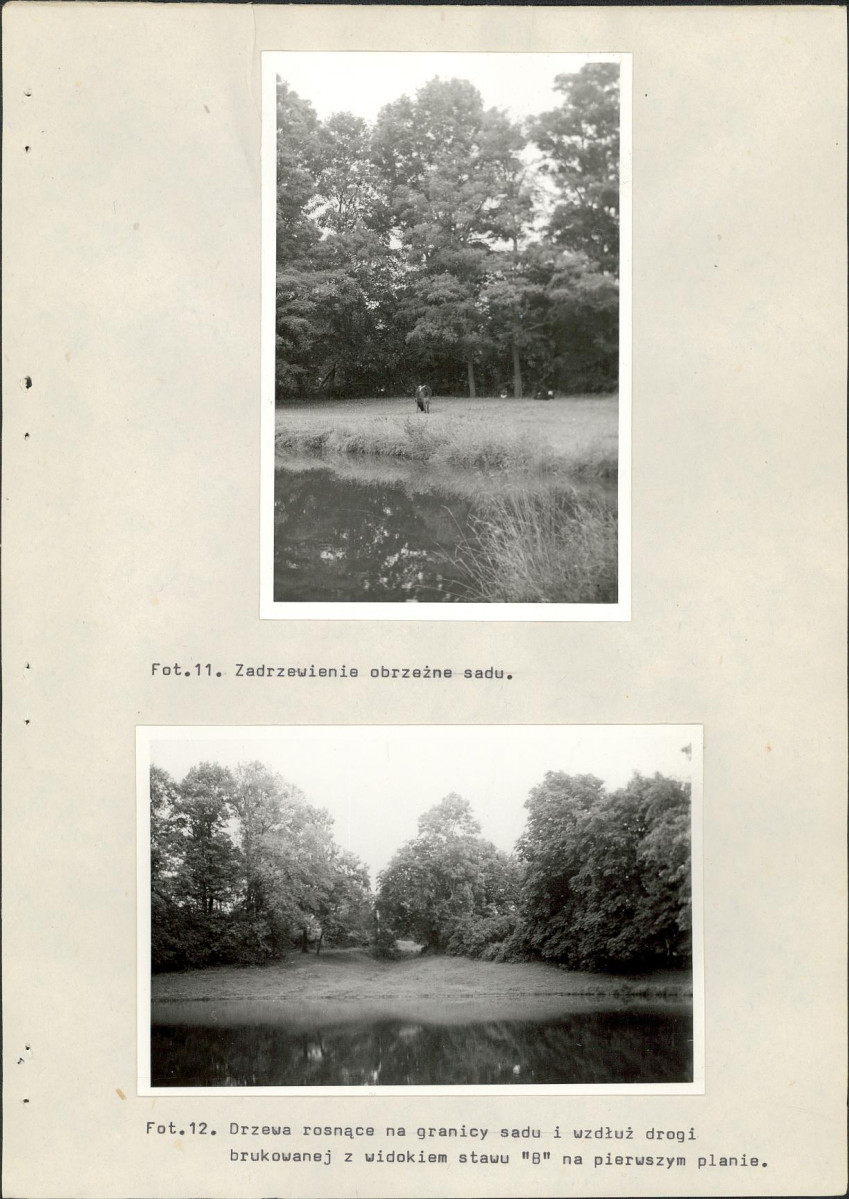 EP - Ewidencja parkowa, skan nr 29