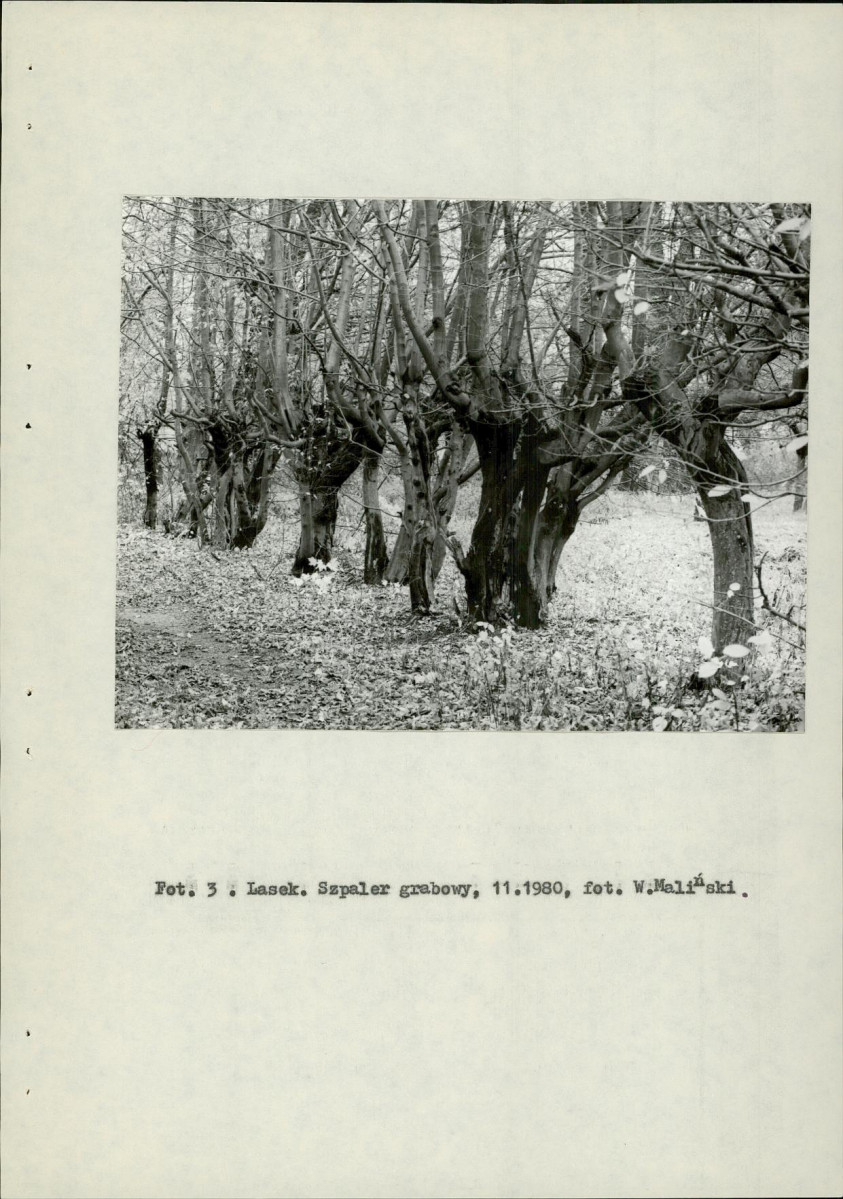 Ewidencja parkowa, skan nr 13