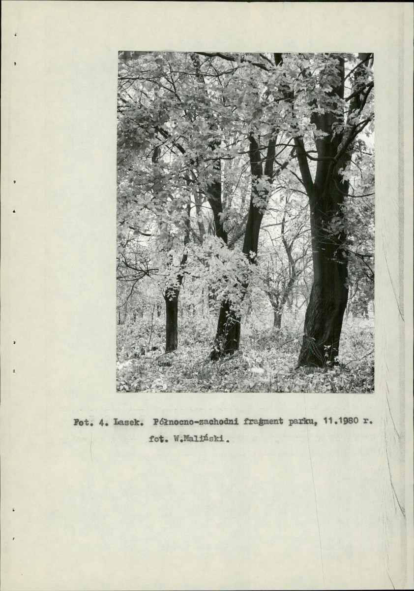 Ewidencja parkowa, skan nr 14