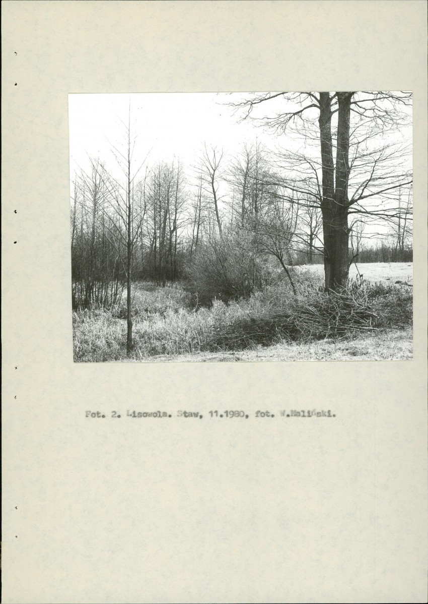EP - Ewidencja parkowa, skan nr 11