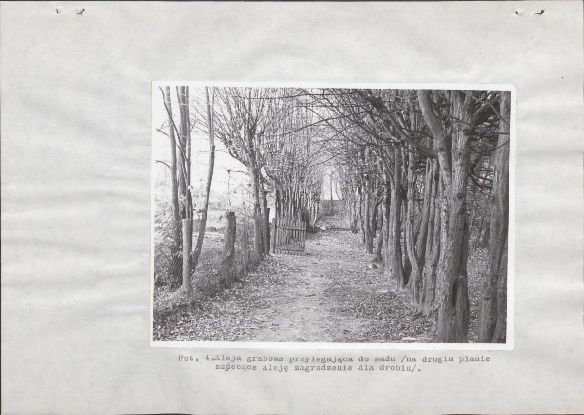 Ewidencja parkowa, skan nr 31