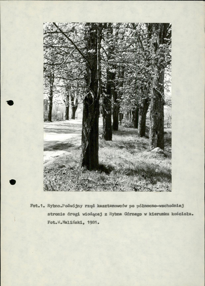 Ewidencja parkowa, skan nr 11
