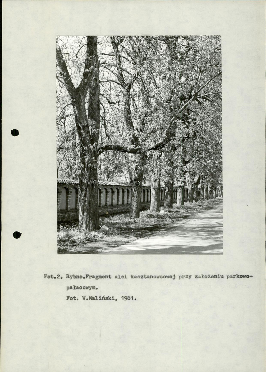 Ewidencja parkowa, skan nr 12